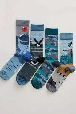 Men Seasalt Cornwall Box Of 4 Men's Postcard Socks