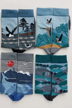 Men Seasalt Cornwall Box Of 4 Men's Postcard Socks