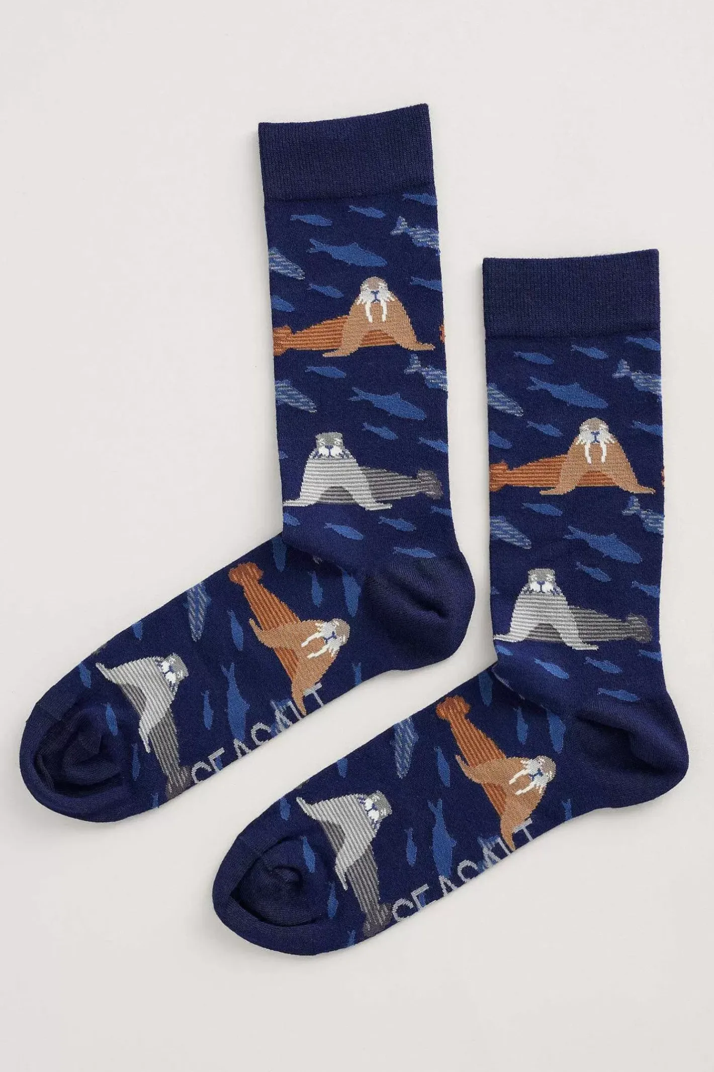 Men Seasalt Cornwall Men's Arty Socks