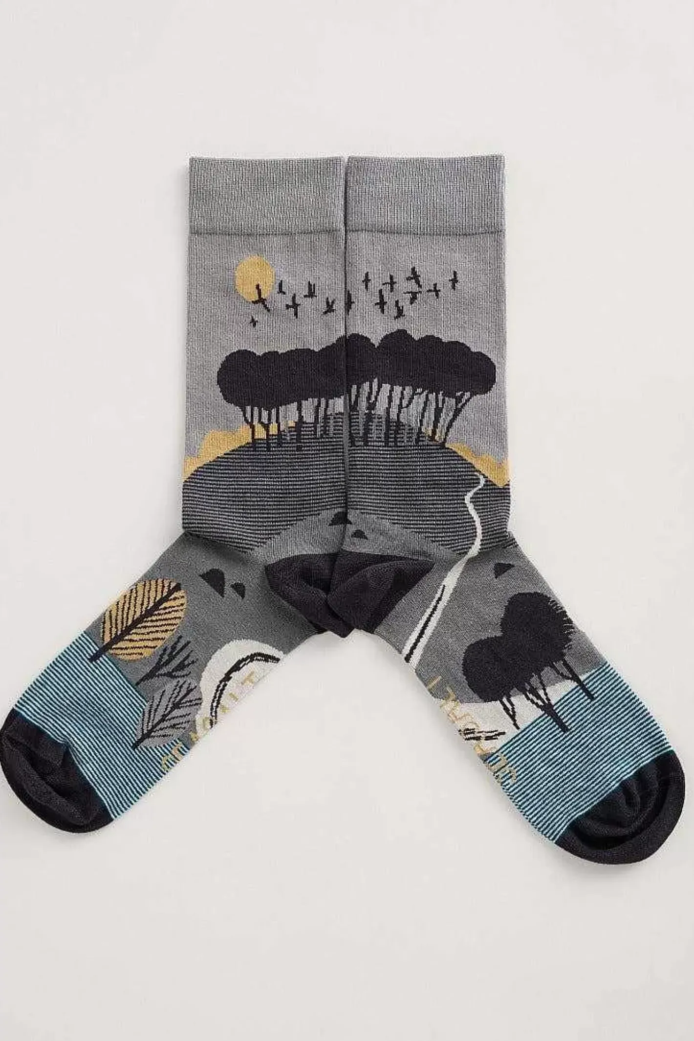 Men Seasalt Cornwall Men's Postcard Socks