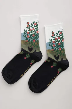 Women Seasalt Cornwall Women's Postcard Organic Cotton Socks